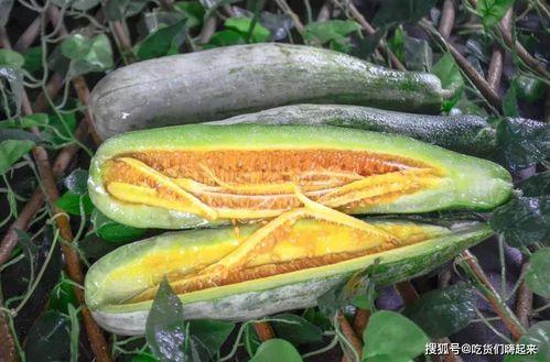 网红吃瓜赵露丝,网红吃瓜界的风云人物 第2张 网红吃瓜赵露丝,网红吃瓜界的风云人物 第2张