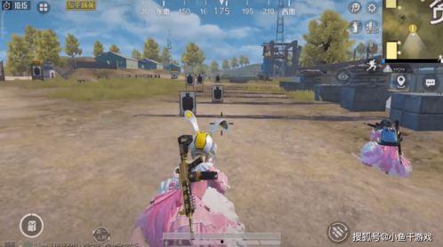 吃鸡新军需爆料最新实战,新军需亮相！吃鸡战场实战解析